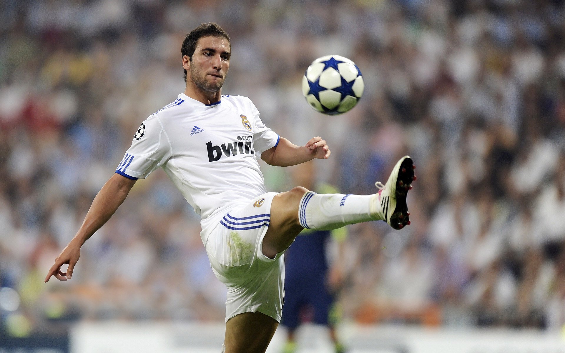 乌拉圭队士气高昂,期待在国际赛场再创佳绩